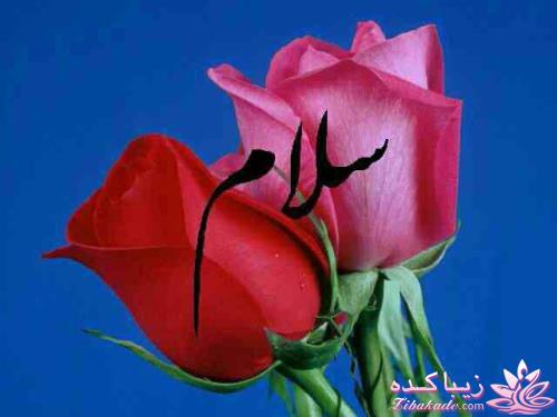 كافه گفت وگو ...
